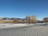 Winter at the Reservoir